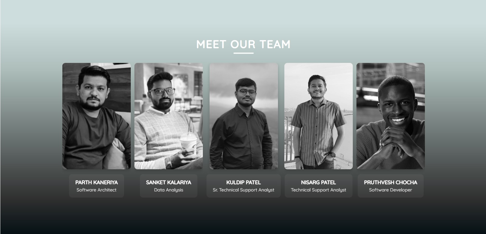 Team Portfolio