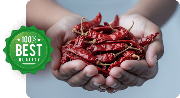 image of Quality Assurance